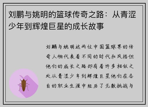 刘鹏与姚明的篮球传奇之路：从青涩少年到辉煌巨星的成长故事